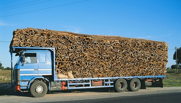 科技手段如何协助治理车辆超载