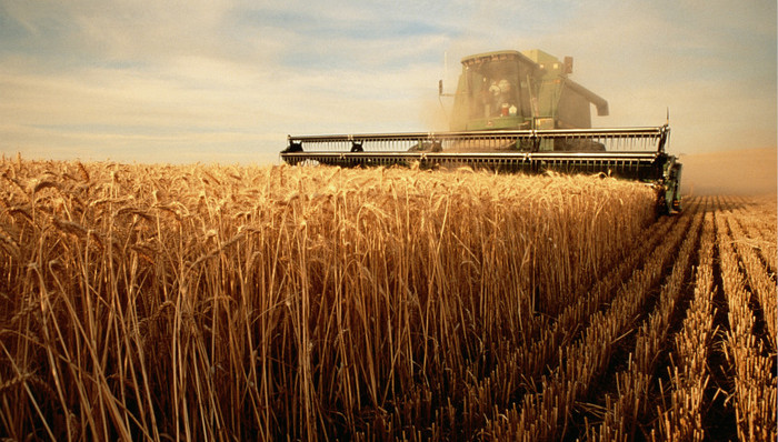 扩面提质增试点 农业保险高质量发展“设计图”出炉