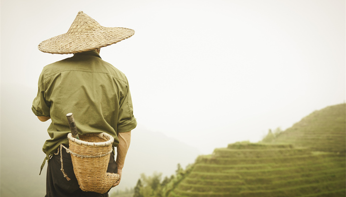 直通部委|发改委：取消农业税每年为农民减负超1300亿 国家公务员局：2020国考拟招2.4万人