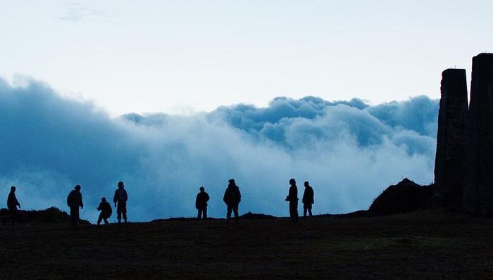 【文娱早报】“网络主播持证上岗”系不实消息 《猴子》获第63届伦敦电影节最佳影片