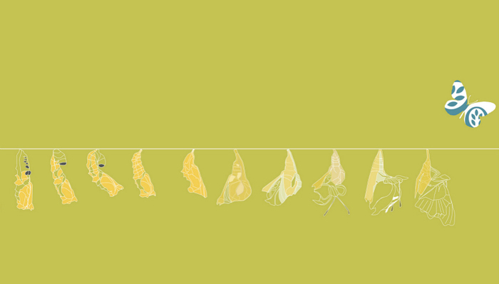 亚马逊,杰夫·贝索斯,贝恩