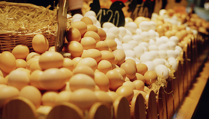 天下故事,惊奇的发现