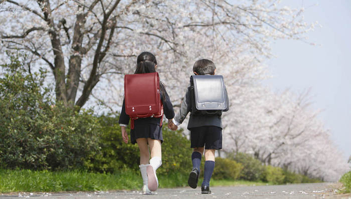 爱乐乐享,公考,教育