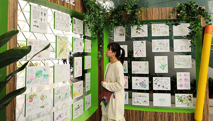 自然保护周，生态环境，科普，城市