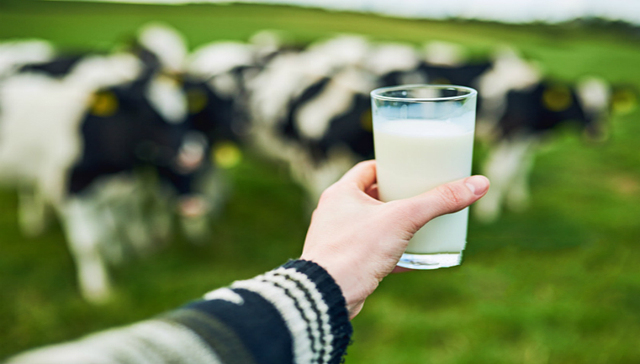 【一周机构调研】明星私募热情不高，燕塘乳业旗舰工厂获“绿色通行证”受关注