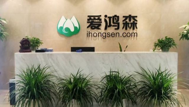 总市值跌去超95%，爱鸿森宣布终止P2P业务