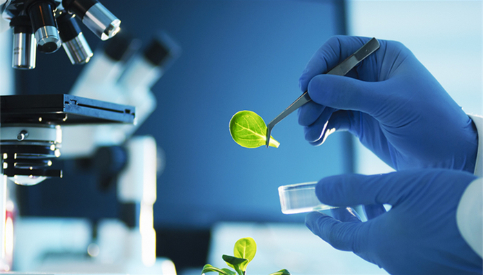 重金属污染,市场监管,合格食品,风险防控,氨基酸态氮,过氧化值,市场监督,食品生产加工,食品有限公司