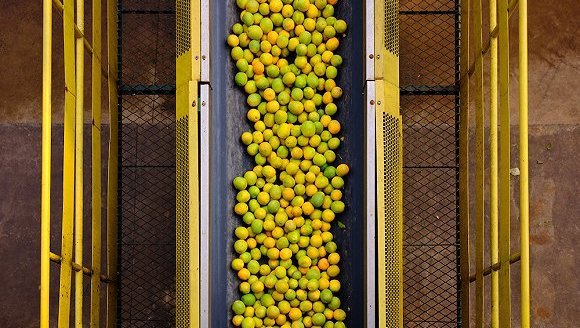 中国NFC果汁市场将会高速增长，一家巴西公司想要抓住这个机会