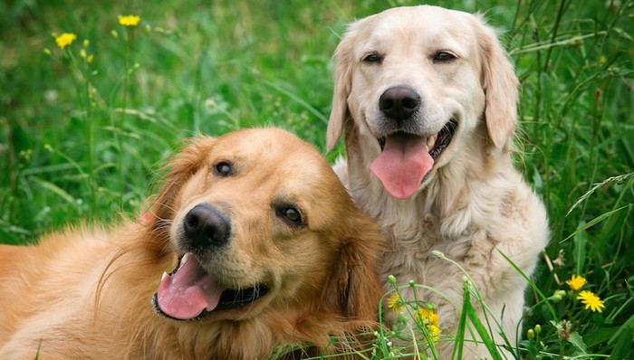 天下故事,惊奇的发现