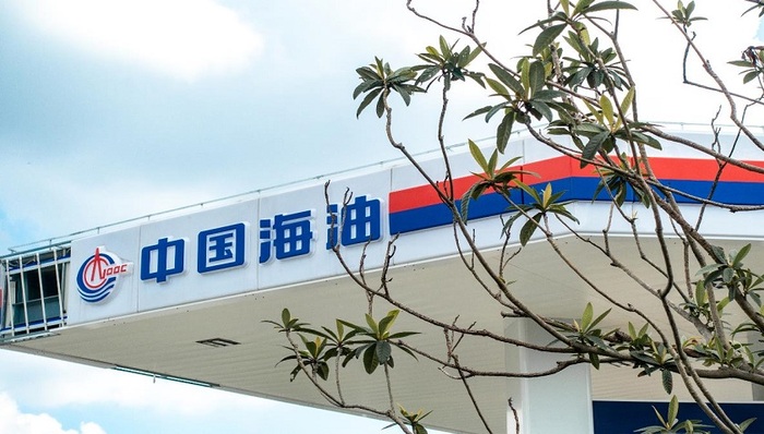 财报，中国海油，上市公司