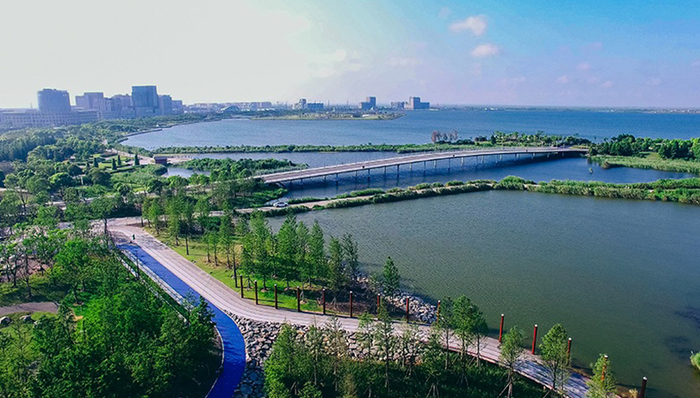 临港，S3公路，交通，奉贤