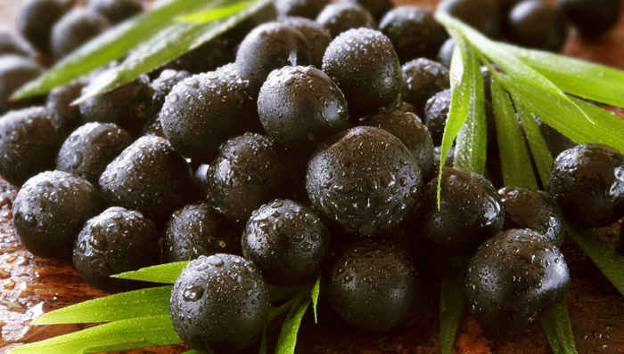 巴西,进口博览会,拉丁美洲