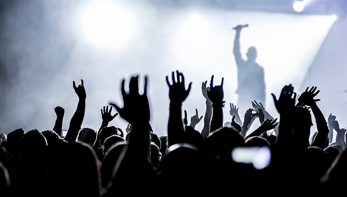 饭圈,蔡徐坤,组织结构,运营