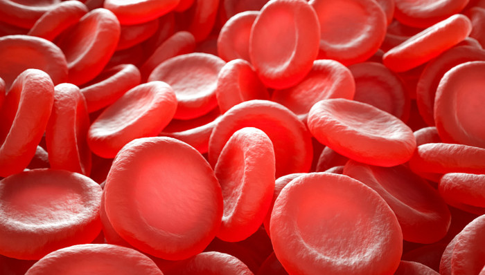 生物制药,上海关注,科学发现,硬科技