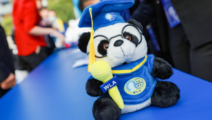 科学,青少年,上海关注