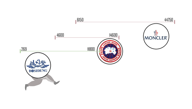 数据 | 波司登卖出“大鹅”价，羽绒服还要涨多少？
