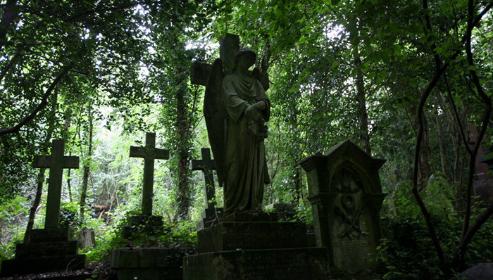 万圣节,书单控,外国文学