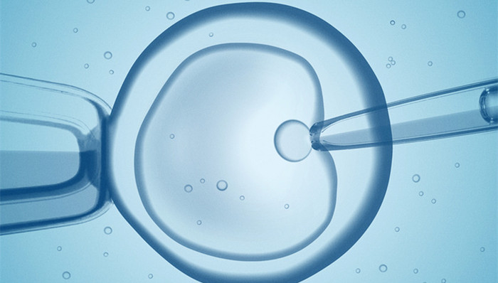 卵子冷冻技术,生殖医学,未婚女性,人类辅助生殖技术规范,卫健,人类辅助生殖技术管理办法,单身女性