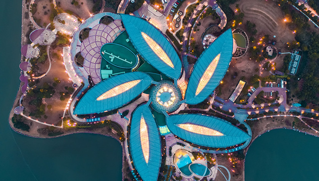 临港新片区发布国内人才引进特殊支持政策，部分核心特殊人才可直接落户