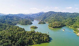 海南换挡：房地产潮退、自贸区待兴，抢人招商双管并举