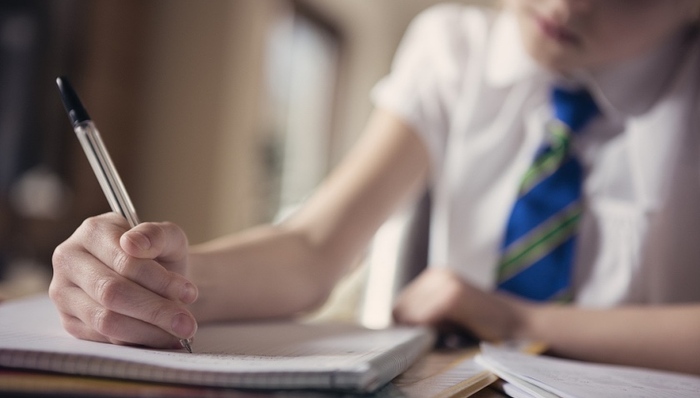 教育部,中小学生,学业负担,课程标准,作业量,初中生,体育锻炼,美育,劳动教育,教育司