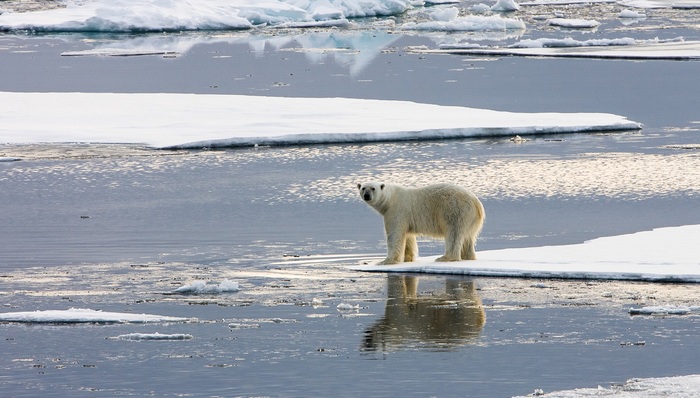 气候变化,环境保护,经济学