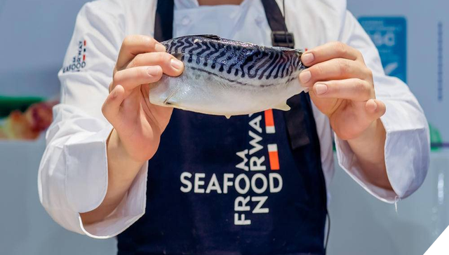 挪威三文鱼在中国销量增长92%，其它挪威鱼类也跃跃欲试