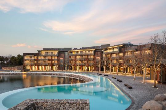 周末去哪儿散心？阳澄湖畔有个文化节能让你洗涤心灵