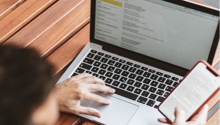 临港新片区，一网通办