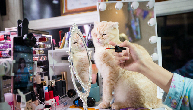 【时尚幕后人】爱网购化妆品的人，几乎都从这个工科生手中买过货