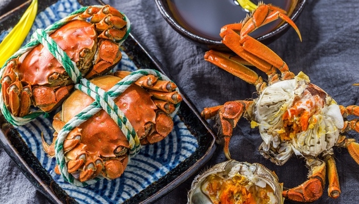 养殖废水,藻类爆发,经济半小时,大闸蟹,水体富营养化,冰鱼,养殖水体,阳澄湖大闸蟹,围网面积,投喂