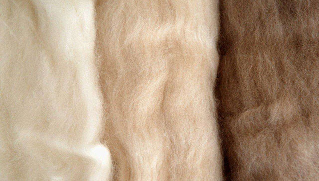 羊绒制品,央视,产地,第一时间,牧民,绒纺城,视频,农牧局,惜售,鄂托克旗