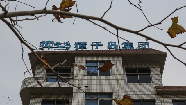 獐子岛,扇贝,股市,上市公司