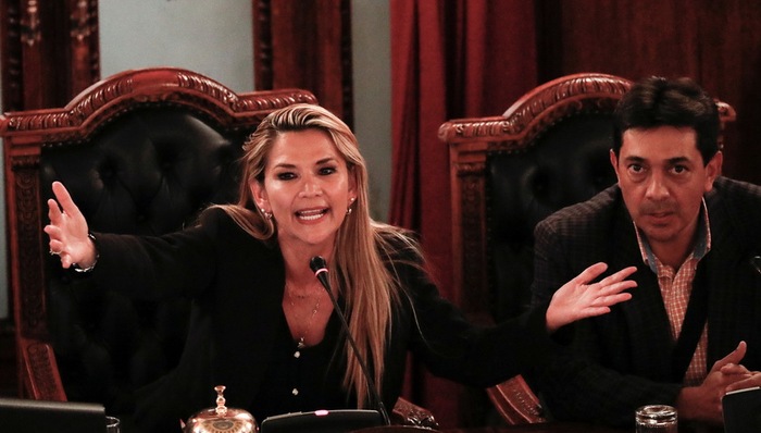 阿涅斯,莫拉莱斯,顺位,总统选举,副总统,玻利维亚,政变,斗争,宇宙报,政党