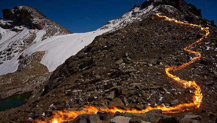 气候变化,活动与展览