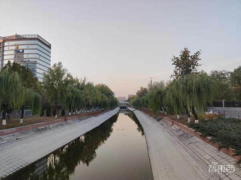 小米1亿像素手机拍照体验，从微距拍到超广角，效果到底如何？