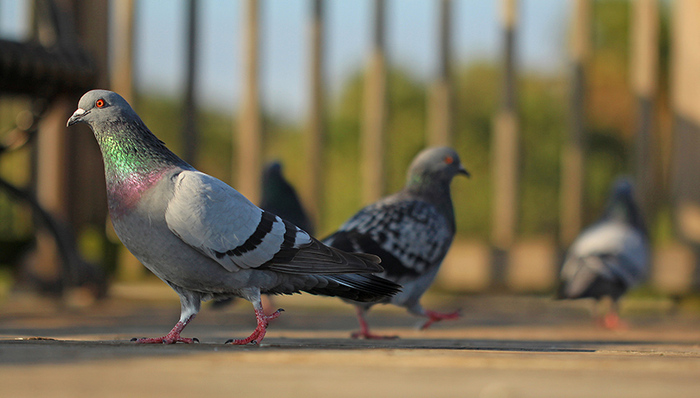 天下故事,惊奇的发现