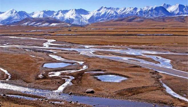 气候波动,气候转型,姜彤,暖湿化,植被覆盖度,风险防控,俏江南,降水量,西北地区东部,哈拉齐