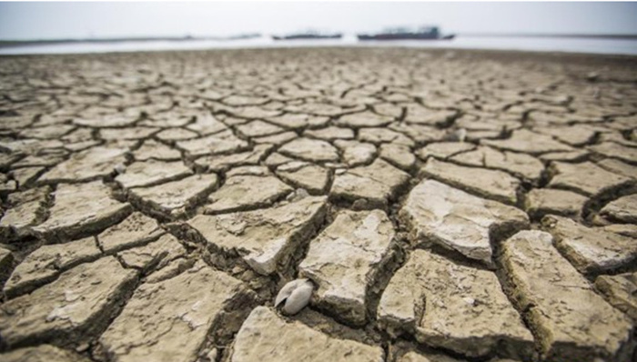 地方新闻精选|安徽“引江入滁”调水抗旱 河南女童眼内被塞纸片校方担一成责