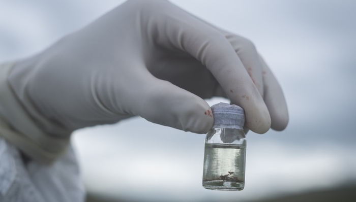 北京市卫健委通报鼠疫患者救治：一人病情稳定，一人加重