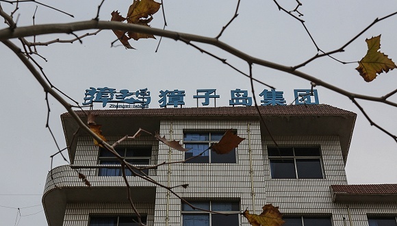 獐子岛,吴厚刚,扇贝