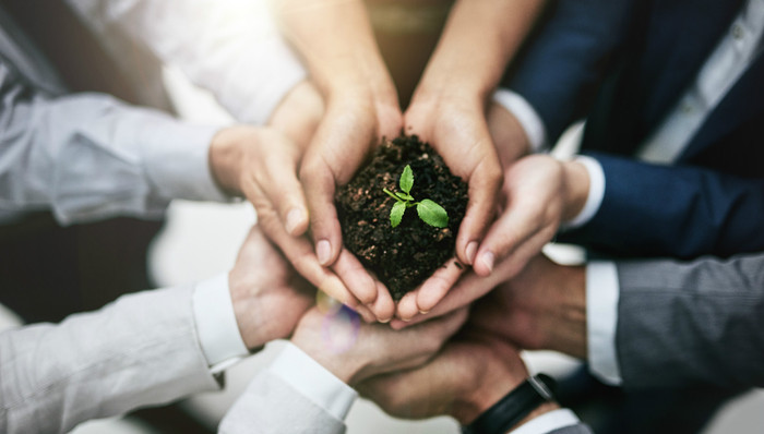 ESG投资理念正当时，这样买基金既赚钱又绿色