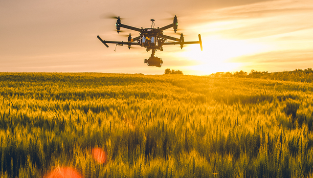 跨国公司，农业，化工