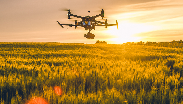 跨国公司，农业，化工