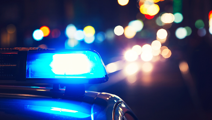 坚果,破获,江门海关,来自疫区,被抓,海关缉私,一科,国产,李明,黄曲霉素