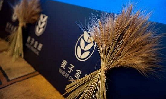 P2P平台麦子金服办公地被警方查封，曾高调宣传招行、海通参与融资均遭“打脸”