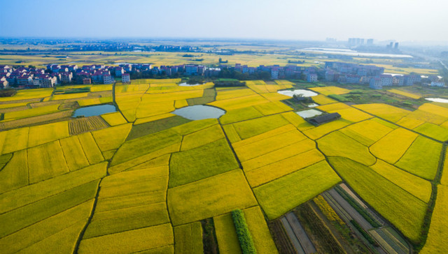 建10亿亩高标准农田！建成后亩均粮食产量提高100公斤