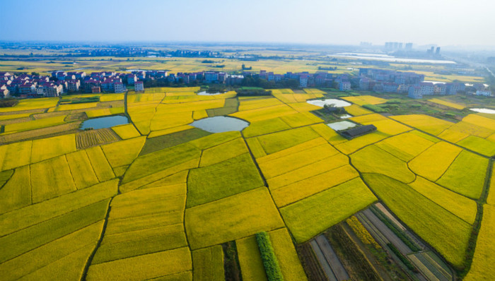 建10亿亩高标准农田！建成后亩均粮食产量提高100公斤