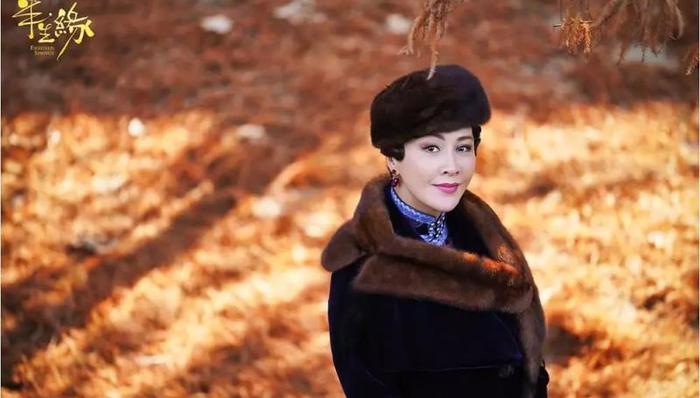 女性向,男性向,剧集