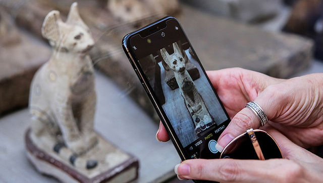 埃及展出新发现的动物木乃伊，看起来有点儿萌